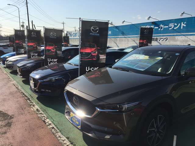 関東マツダ 鷲宮店