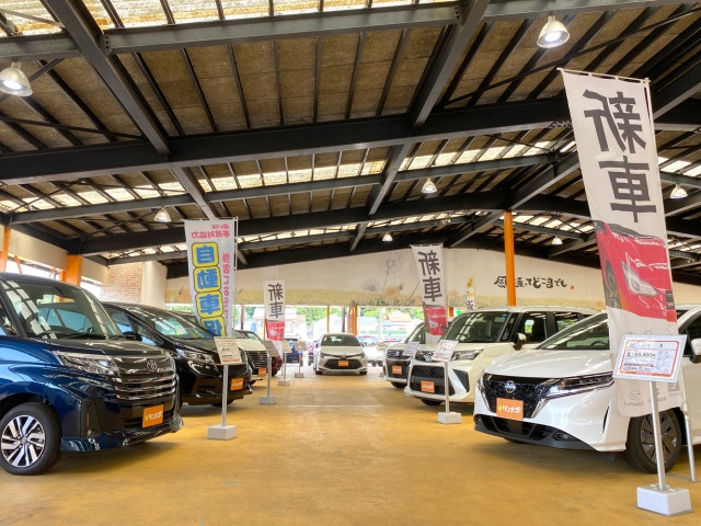 普通車専門店 ビックカードーム タンポポ