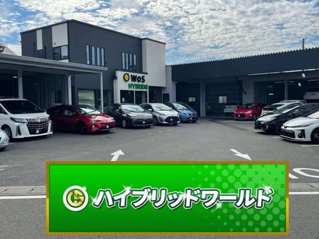 株式会社world of star