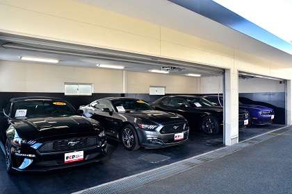 BUBU MITSUOKA BUBU阪神