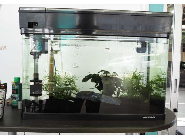 トヨタユナイテッド静岡 富士宮店