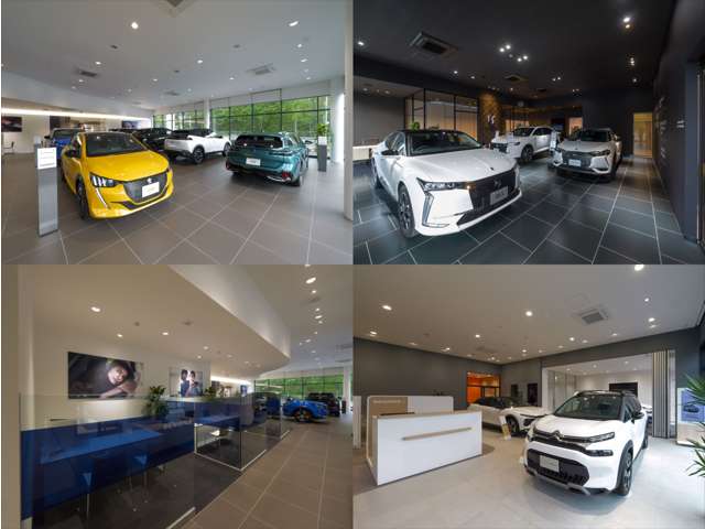 イデアル札幌南店・プジョー札幌南・シトロエン札幌南・DS STORE札幌