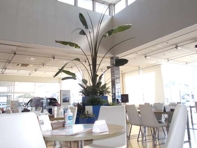 栃木日産自動車販売 宇都宮西原店