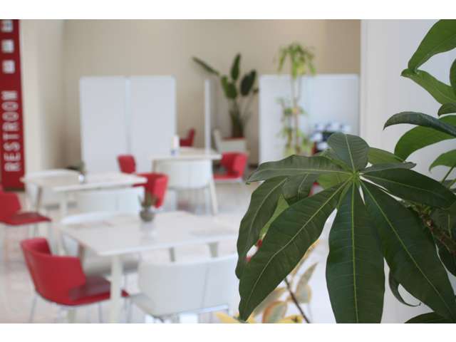 ホンダカーズ津山 高野店(認定中古車取扱店)