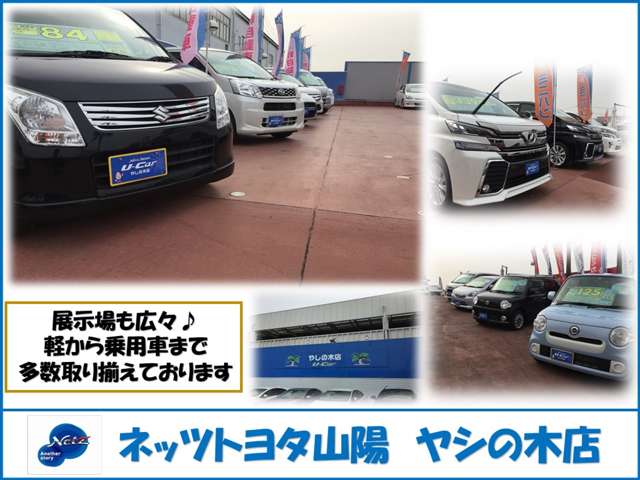 ネッツトヨタ山陽 やしの木店