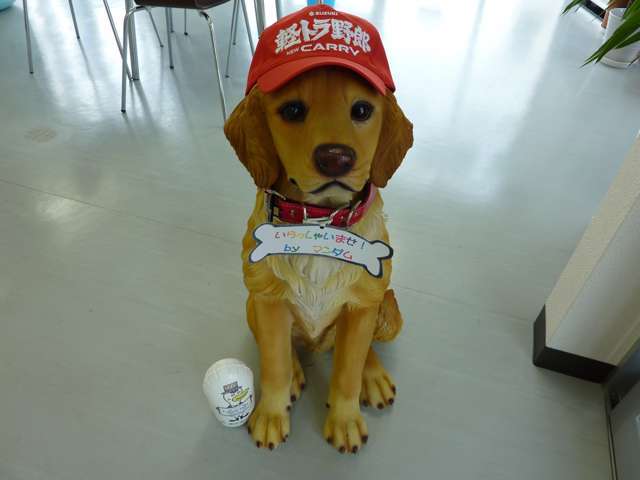 ビックサポート