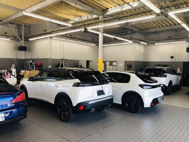 株式会社 グランシエルセキショウ プジョーつくば