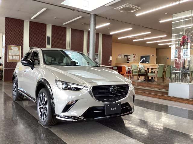 アンフィニ広島 大州店