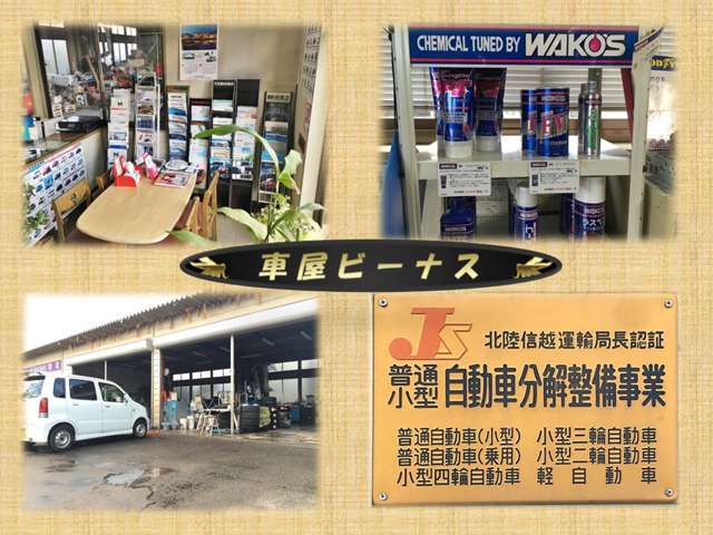 ビーナス