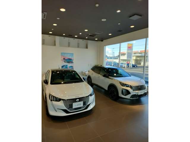 プジョー宇都宮 ビジョナトレーディング(株) ビジョナグループ