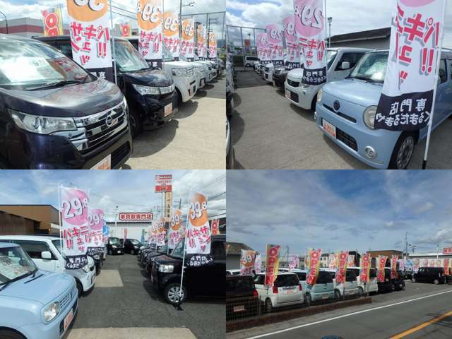 車買取専門店 車を売るのも くるまだるまや 和歌山買取店