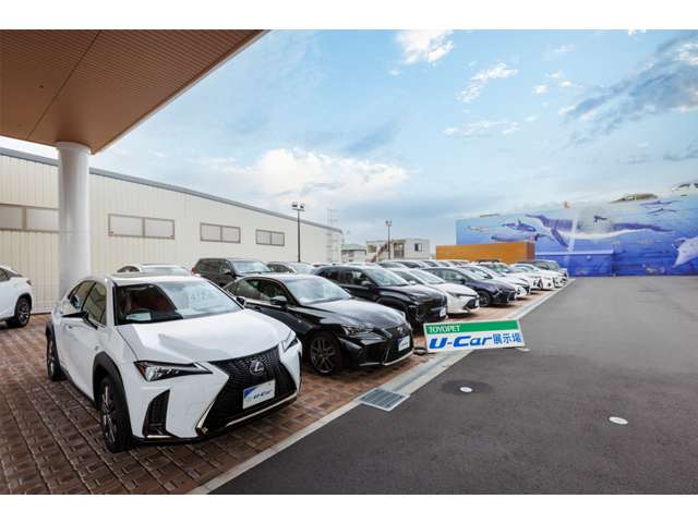 和歌山トヨペット(株) 国体道路店