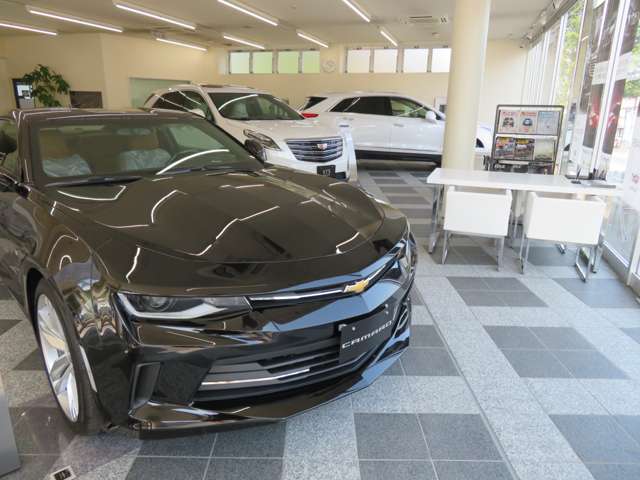 BUBU MITSUOKA 仙台ショールーム/キャデラック仙台中央/シボレー仙台中央