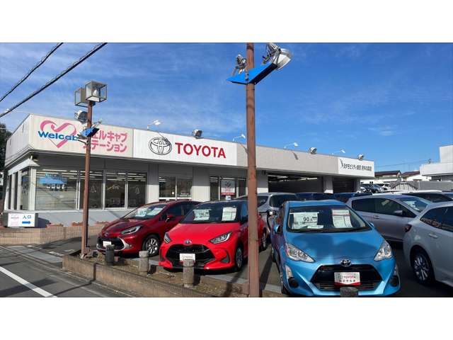 トヨタモビリティ東京 府中の森店