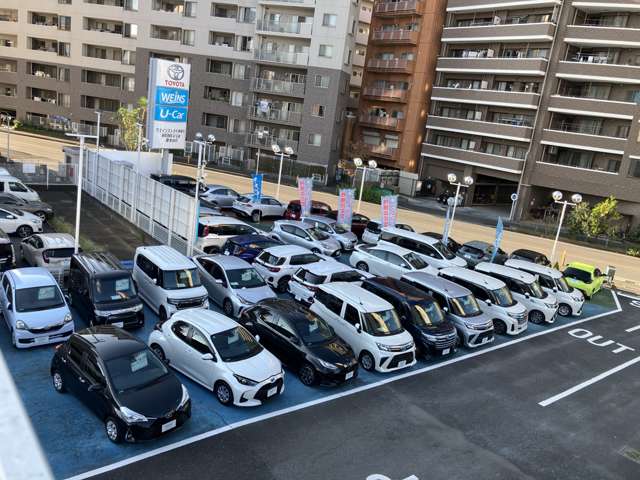 ウエインズトヨタ神奈川 WEINS U-Car 厚木水引