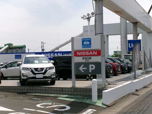 宮城日産自動車 カートピア名取
