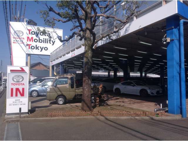 トヨタモビリティ東京 U-Car府中店