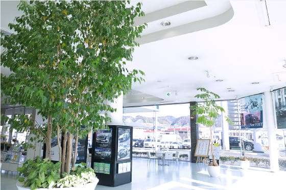 トヨタユナイテッド静岡 清水東名店