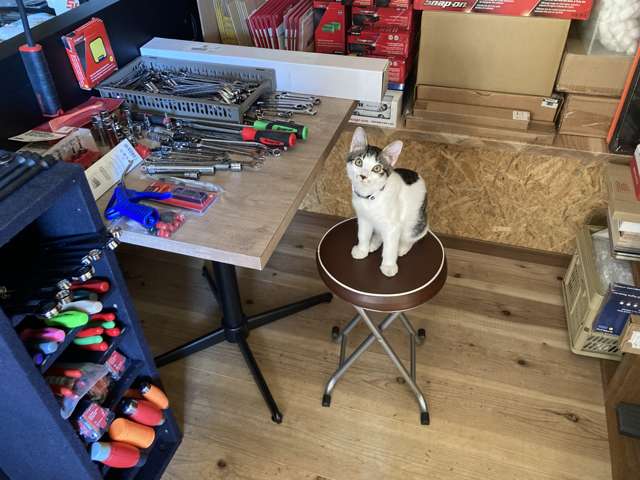 THIRD GARAGE(サードガレージ)