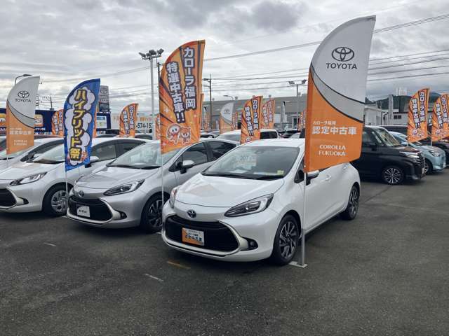トヨタカローラ福岡 麦野マイカーセンター