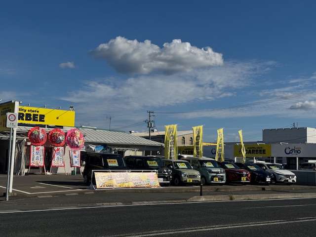 mobility store CARBEE