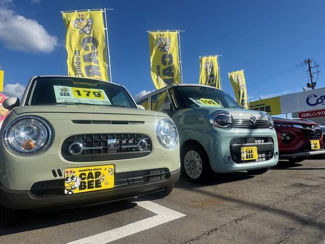 mobility store CARBEE