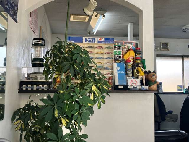 エリアカーセールス