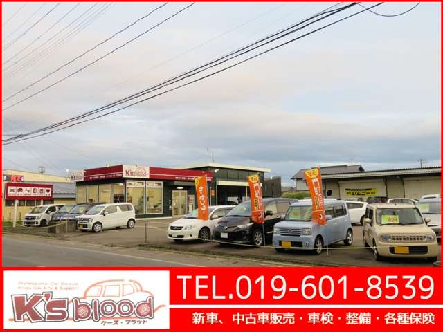 ケーズブラッド