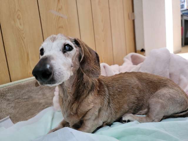 オートサロンKワーク