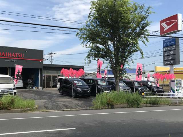 モータードリームビート