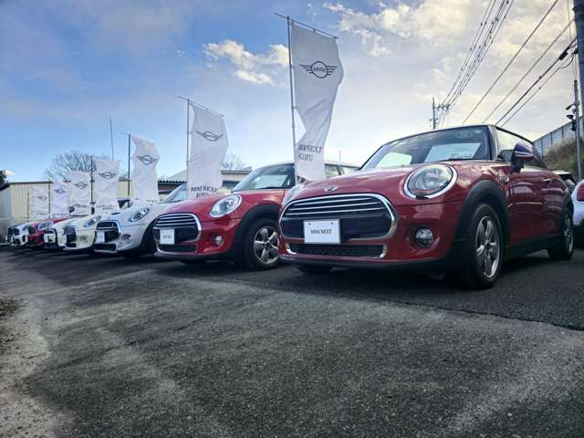 MINI NEXT 甲府