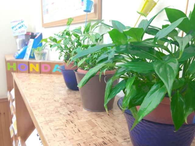 (株)ホンダカーズ中央神奈川 U-Select桜ヶ丘