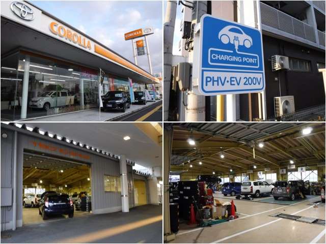 トヨタカローラ新潟 新潟桜木店