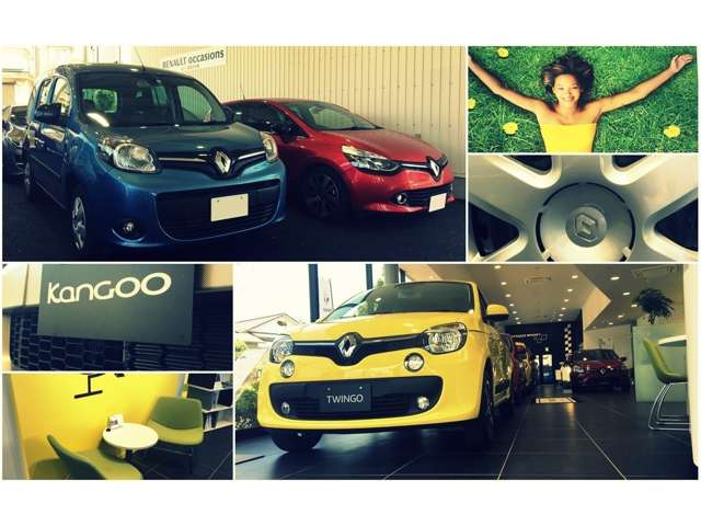 ルノー所沢 (株)ビジョナリー ビジョナグループ