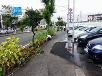 プジョー松山/シトロエン松山