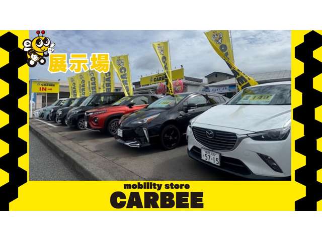 mobility store CARBEE