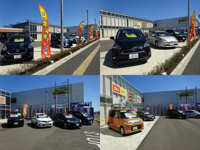 トヨタカローラ岩手(株) 西バイパス店