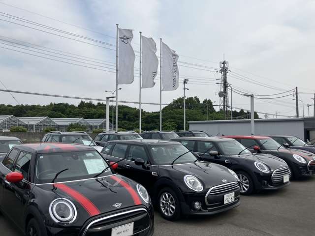 MINI NEXT 宇都宮