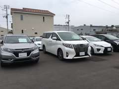 SKY TIMELESS Niigata 新潟店/モトーレンニイガタ(株)