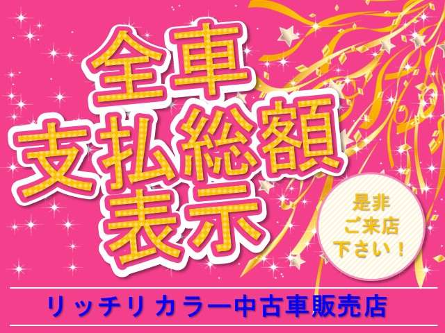 リッチリ カラー中古車販売店