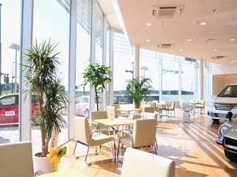 茨城日産自動車 U-Carsつくばみどりの店