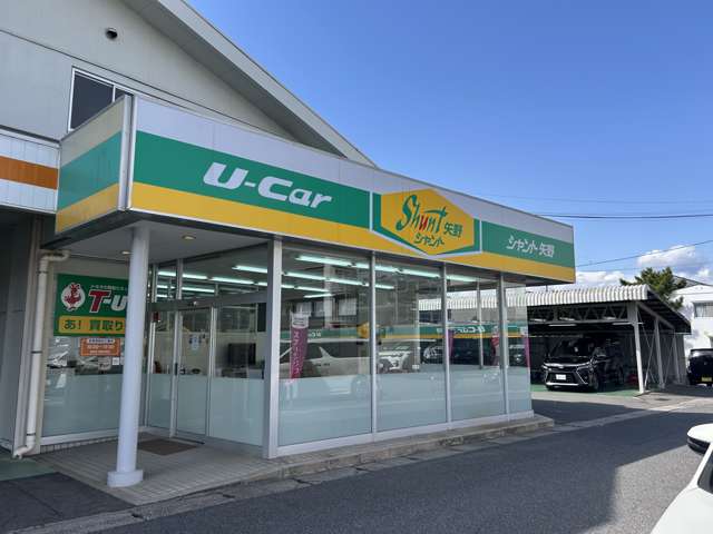 トヨタカローラ広島 シャント矢野