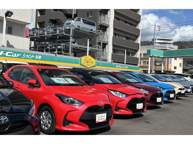 トヨタカローラ広島 シャント矢野