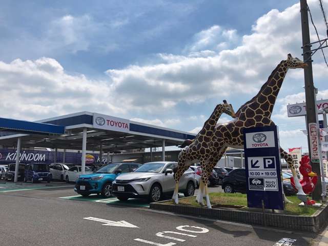 トヨタモビリティ東名古屋(株) キリンダム三好中央店