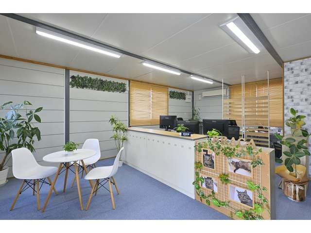 株式会社BRACA