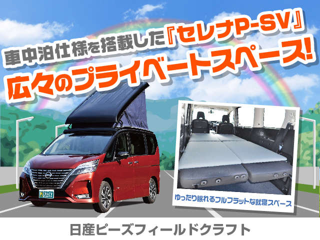 日産ピーズフィールドクラフト