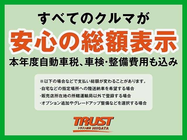 トラスト新潟 南店