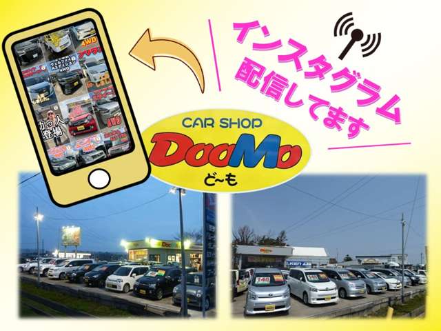 カーショップ ど～も