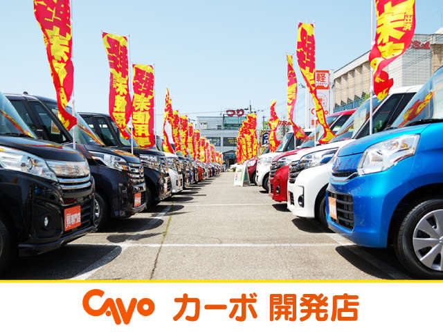 カーボ 開発店