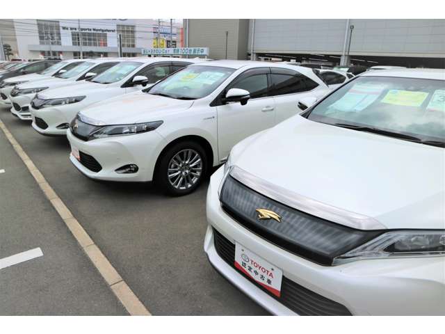 愛媛トヨペット(株) 松山中央店